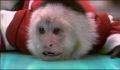 dr dolittle 3-avi_068.jpg